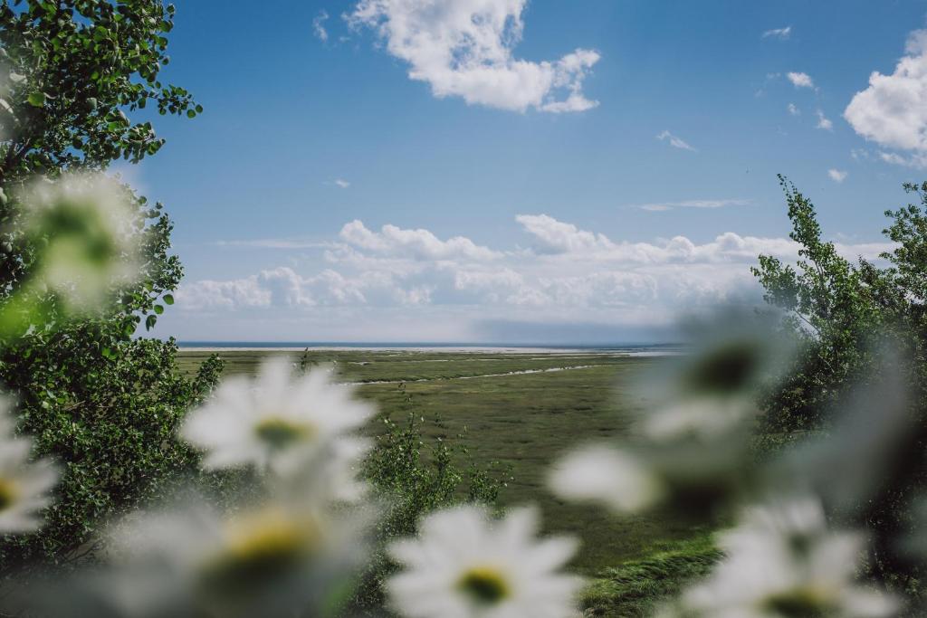 a field with white flowers in the foreground at Gîte la Marée in Portneuf Sur Mer