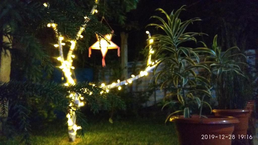 Zahrada ubytování Marari Sabari Home Stay