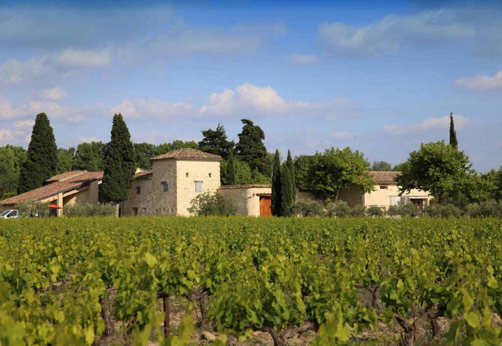 un vignoble avec un bâtiment et un champ de raisins dans l'établissement Gite des amis Domaine de Mas Caron, à Caromb