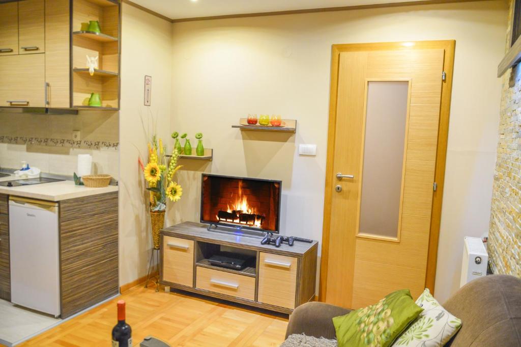 Kuhinja ili čajna kuhinja u objektu Apartments Josipovic