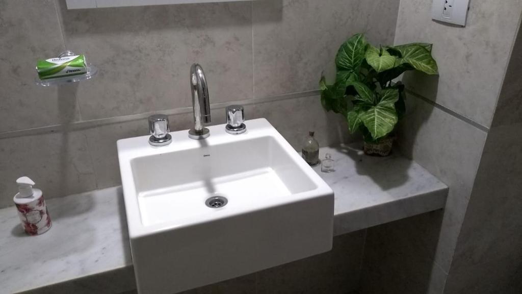 lavabo blanco en un baño con maceta en relajado monoambiente en San Miguel de Tucumán