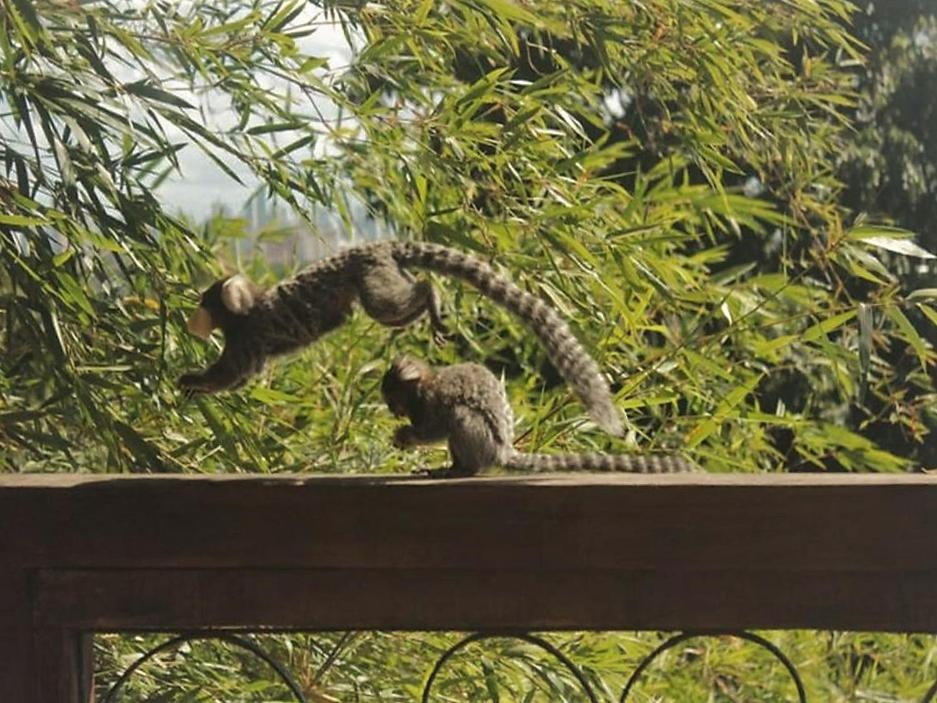  Pousada Villa Olinda