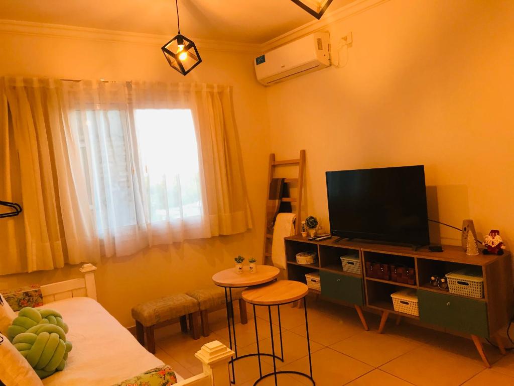 uma sala de estar com uma televisão de ecrã plano e uma mesa em Cool Studio apartment Complete, bien ubicado, cercano a Bodegas, viñedos y zonas turísticas em Luján de Cuyo