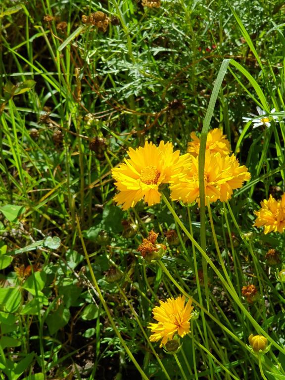 Kerikeri Blue Chair B&B - Resim 9