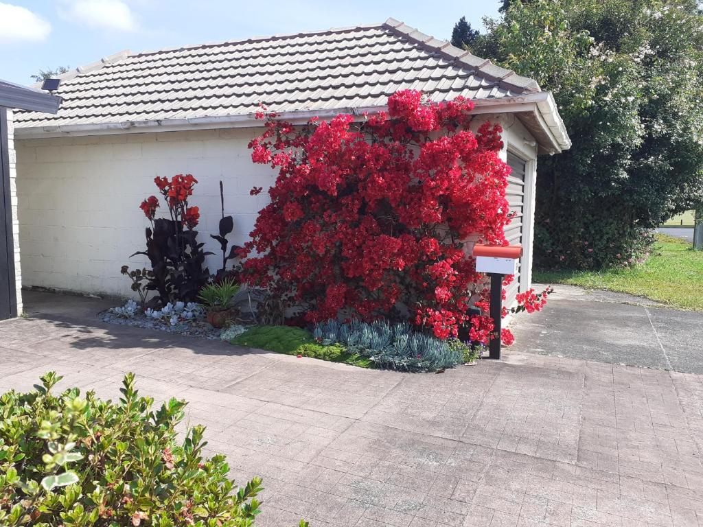 66 Chaucer B&B with Complimentary Breakfast - Resim 22