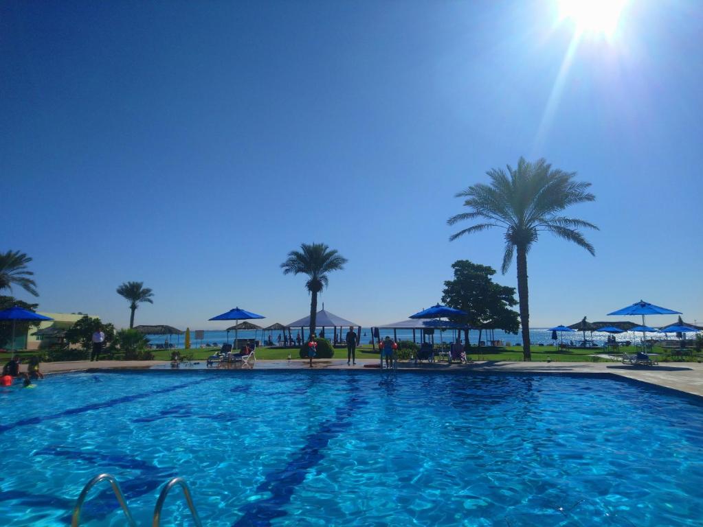 a large swimming pool with palm trees and the ocean at Flamingo Beach Hotel in Umm Al Quwain
