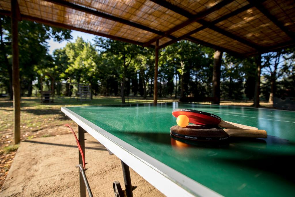 Bazén v ubytování Agriturismo Pometti - Fattoria La Selva nebo v jeho okolí