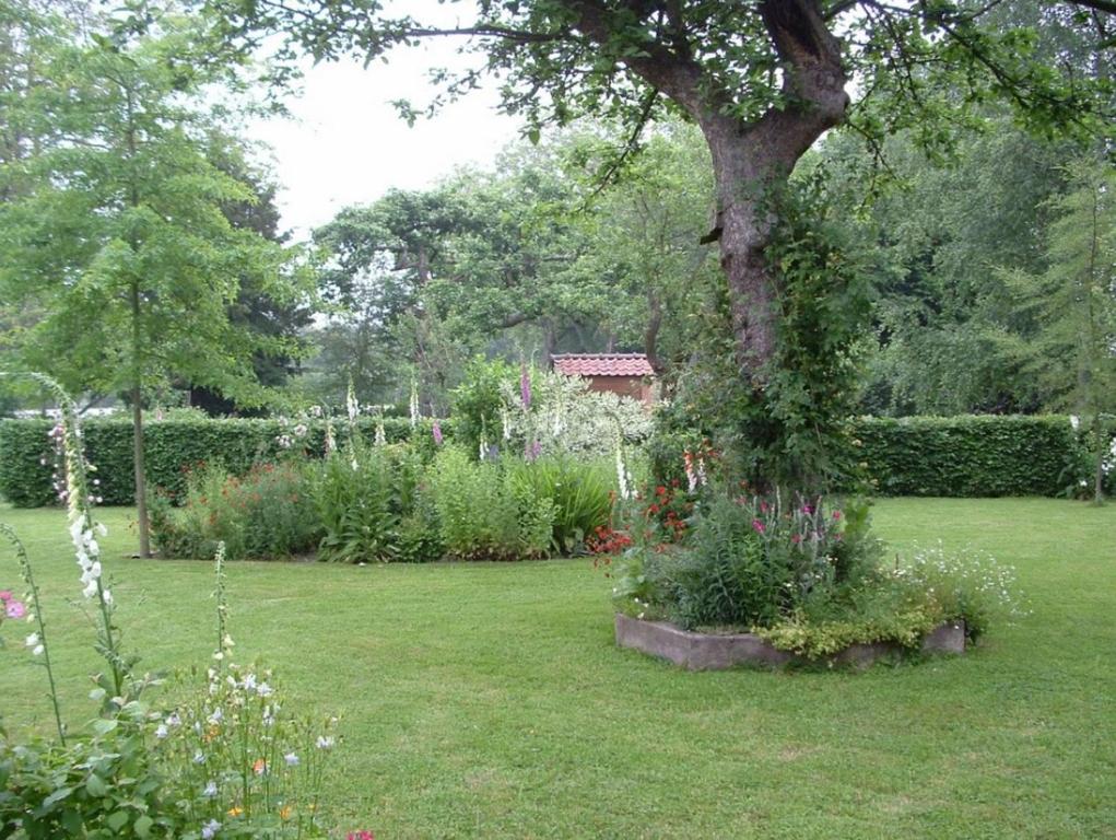 um jardim com uma árvore e algumas flores em Gite Le Rucher em Rumegies