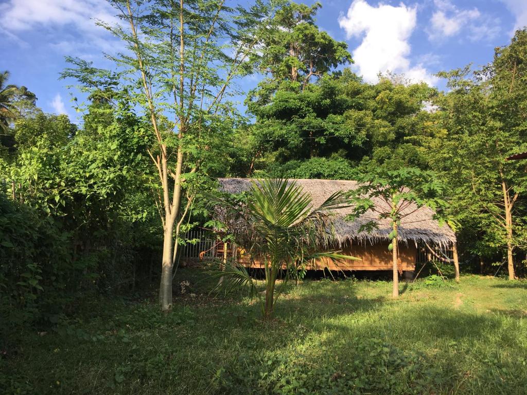 a hut in the middle of a forest with trees at Little Nomads eco-guesthouse in Siquijor