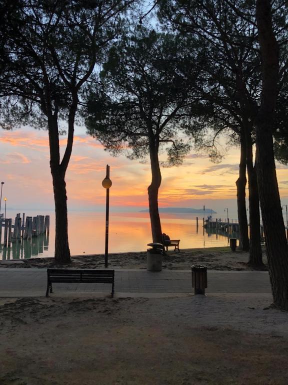 un parco alberato e una spiaggia con un tramonto di Uno sguardo sul lago Appartam a Passignano sul Trasimeno