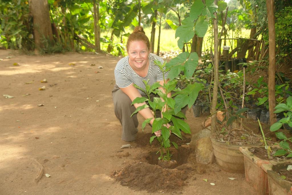 Hosté ubytování HOMESTAY CAMPING ANURADHAPURA