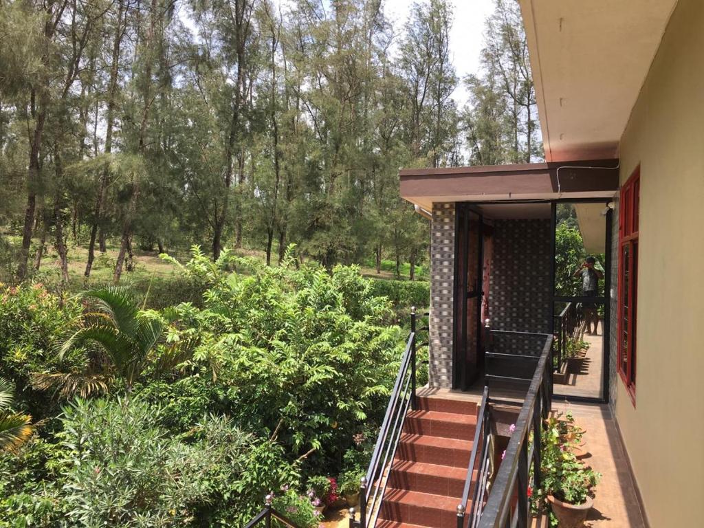 une terrasse couverte d'une maison avec des arbres en arrière-plan dans l'établissement Coorg West End Home Stay, à Madikeri