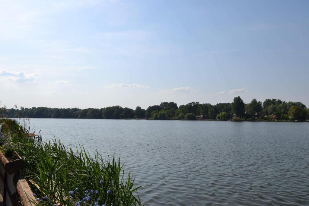 a view of a lake with trees in the background at Neptun2 apartman in Dömsöd