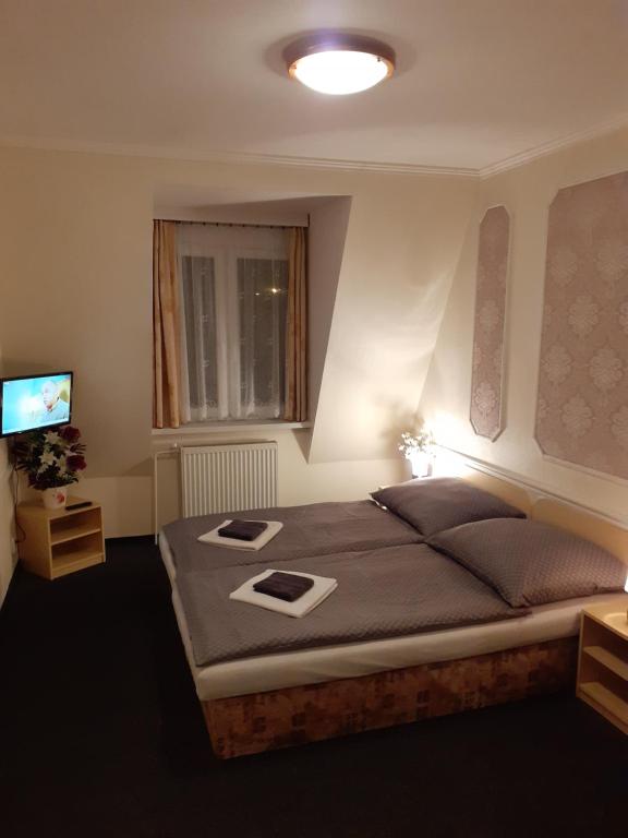 Pension Velický Zámocek - Resim 12