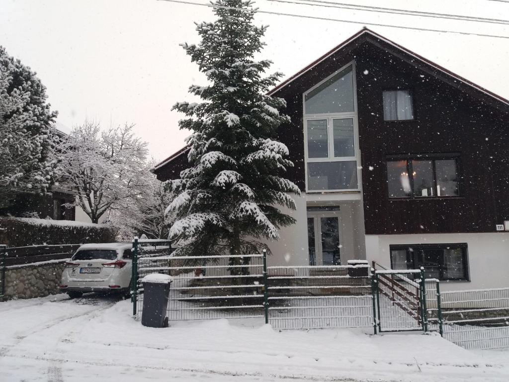 un árbol de Navidad cubierto de nieve frente a una casa en Privat Tatry Dreams, en Nová Lesná