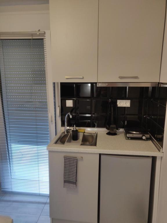Kuchyň nebo kuchyňský kout v ubytování Alexion Apartments