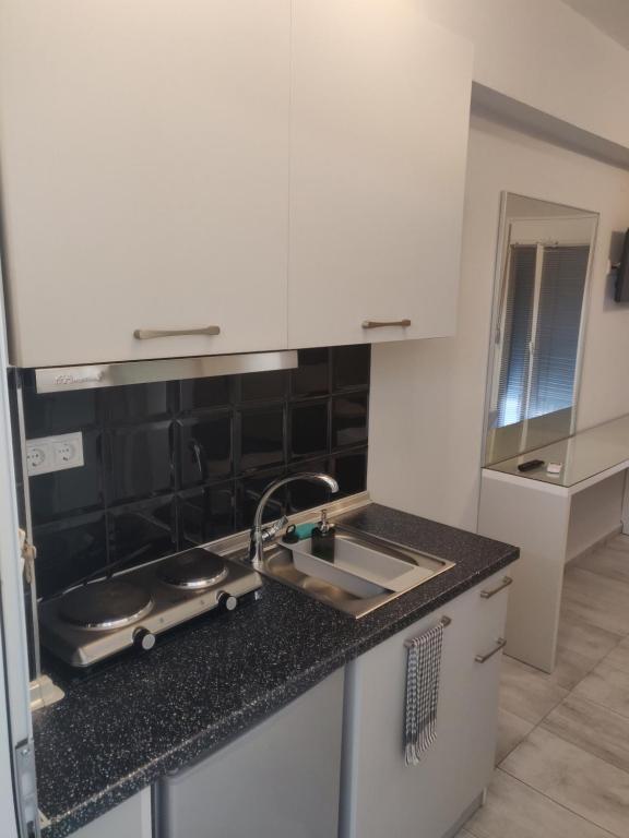 Kuchyň nebo kuchyňský kout v ubytování Alexion Apartments
