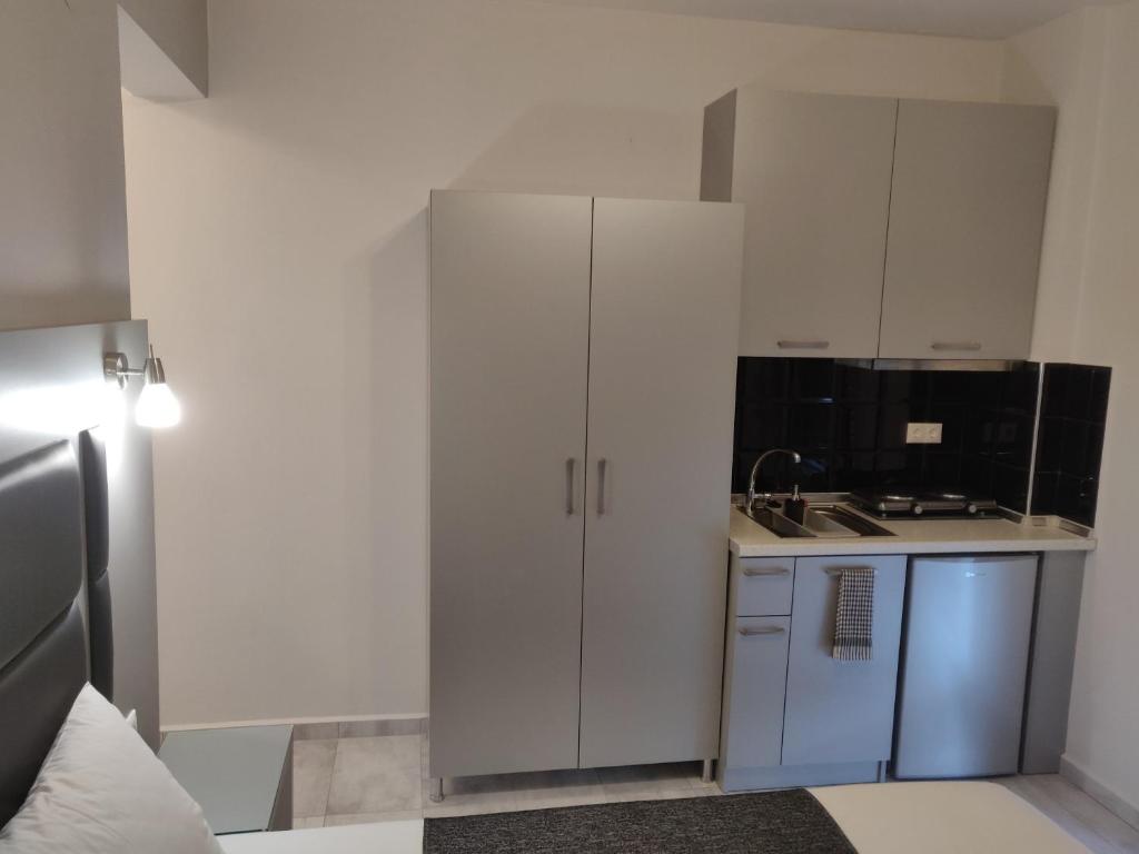 Kuchyň nebo kuchyňský kout v ubytování Alexion Apartments