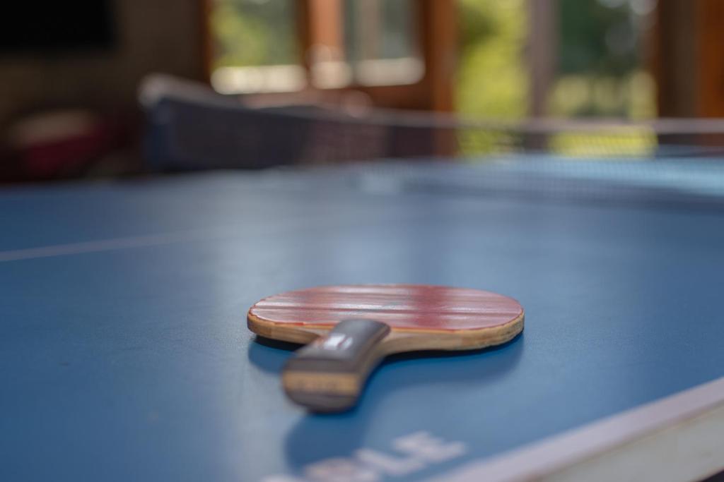 Biliár nebo kulečník v ubytování Hostal Canela
