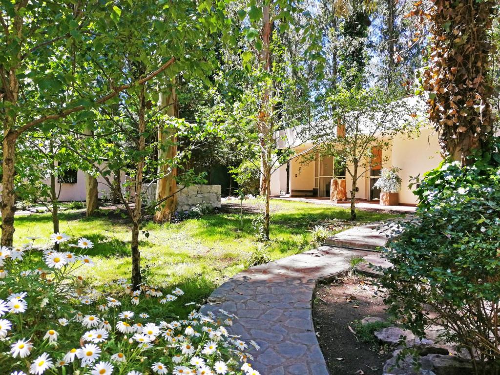 A garden outside Cabañas Bosk