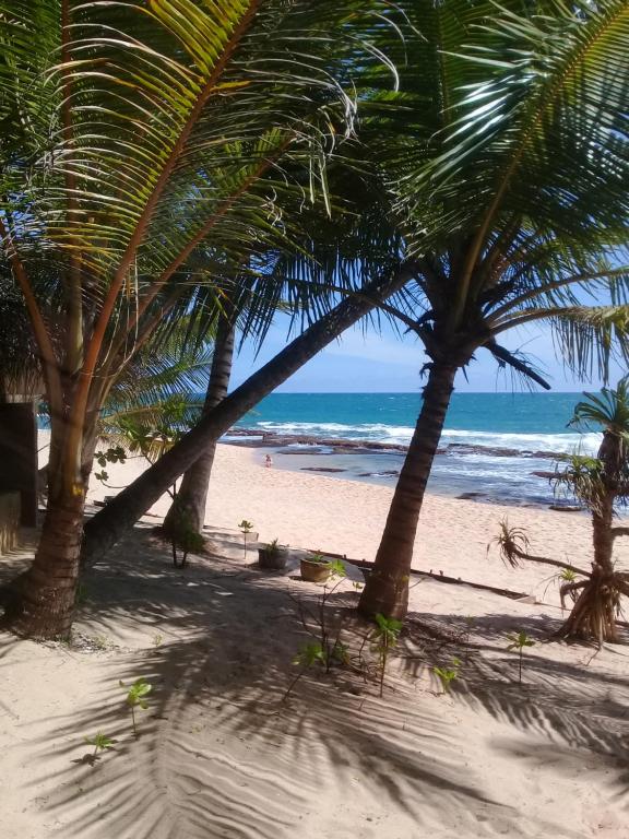 The Alpha Monkey hotel & Tree house - 9