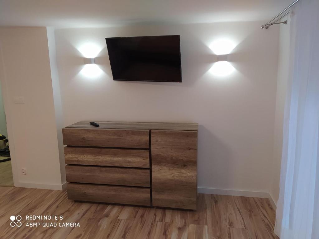 TV a/nebo společenská místnost v ubytování Apartamenty przy Świerku