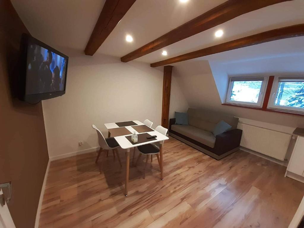 TV a/nebo společenská místnost v ubytování Apartamenty przy Świerku