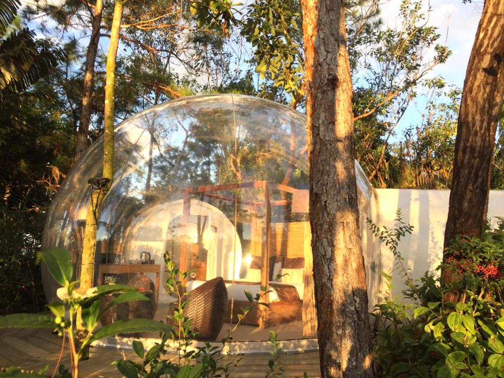 Zahrada ubytování Bubble Lodge Bois Chéri Plantation