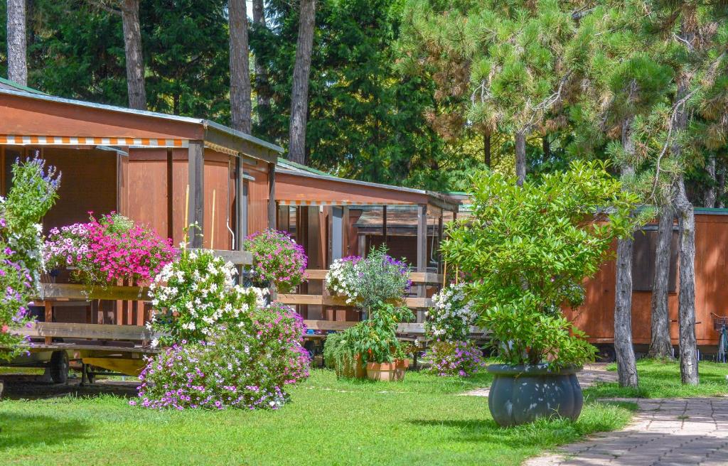 Zahrada ubytování Il Tridente Camping Village