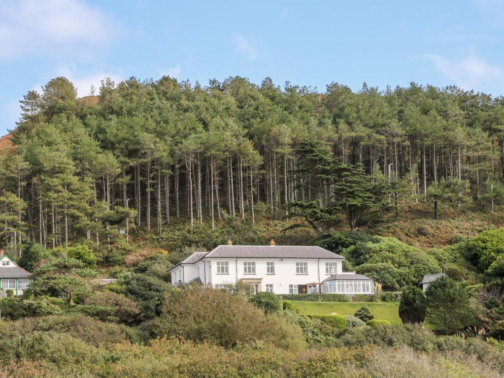 a white house on a hill with trees at Brynmorwydd in Aberdyfi
