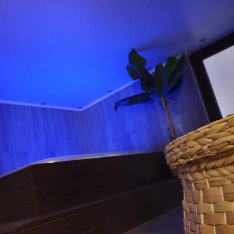 a blue ceiling with a plant sitting on a couch at Villa Biser Dunava in Vukovar