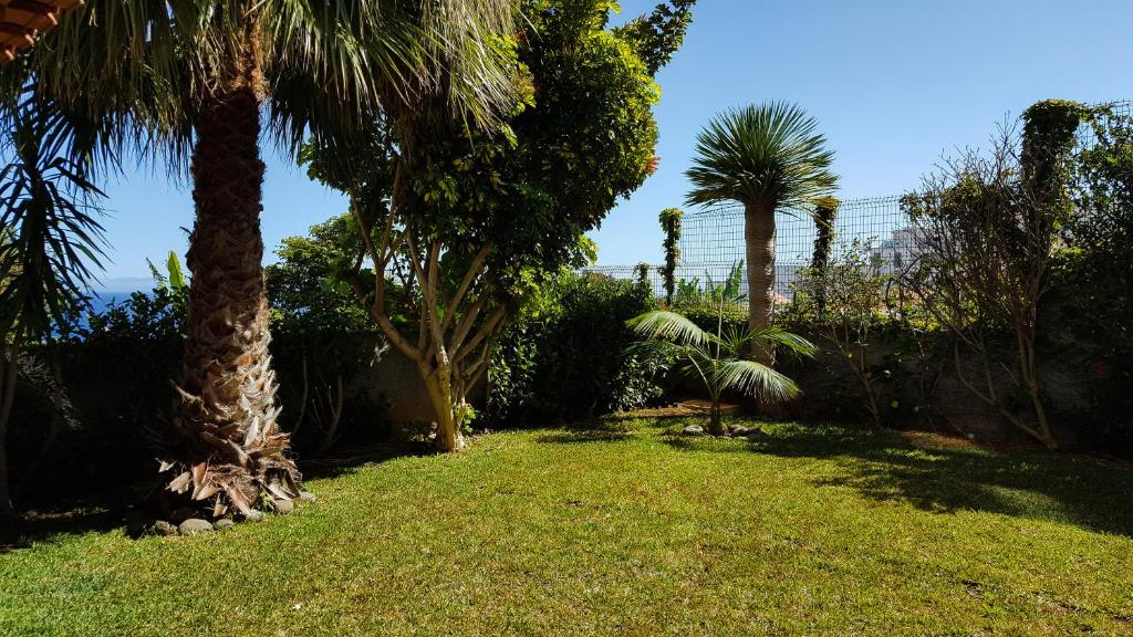 einen Hof mit Palmen und einem Grasfeld in der Unterkunft Atlantic Palm Garden Residence in Caniço