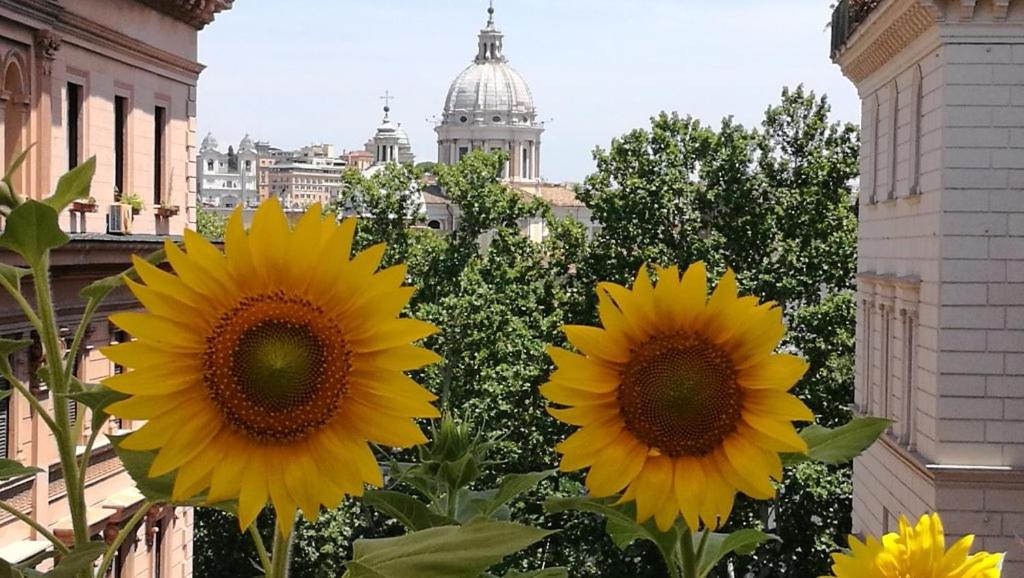 a group of yellow sunflowers in front of a building at Residenza Cavallini in Rome