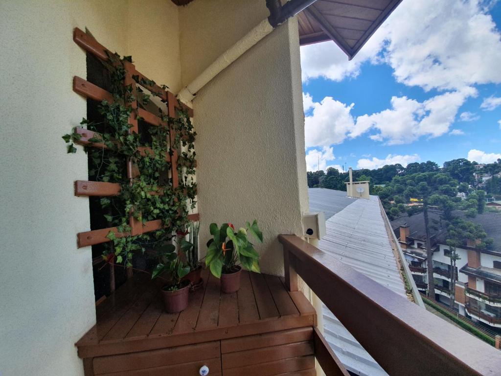  Apartamento no Capivari com Elevador