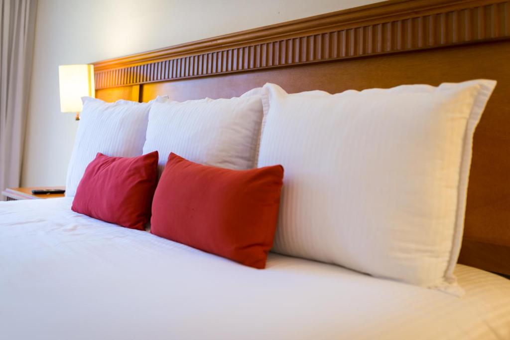 The Reef Coco Beach Resort & Spa- Optional All Inclusive - Chambre Supérieure, Vue De Piscine