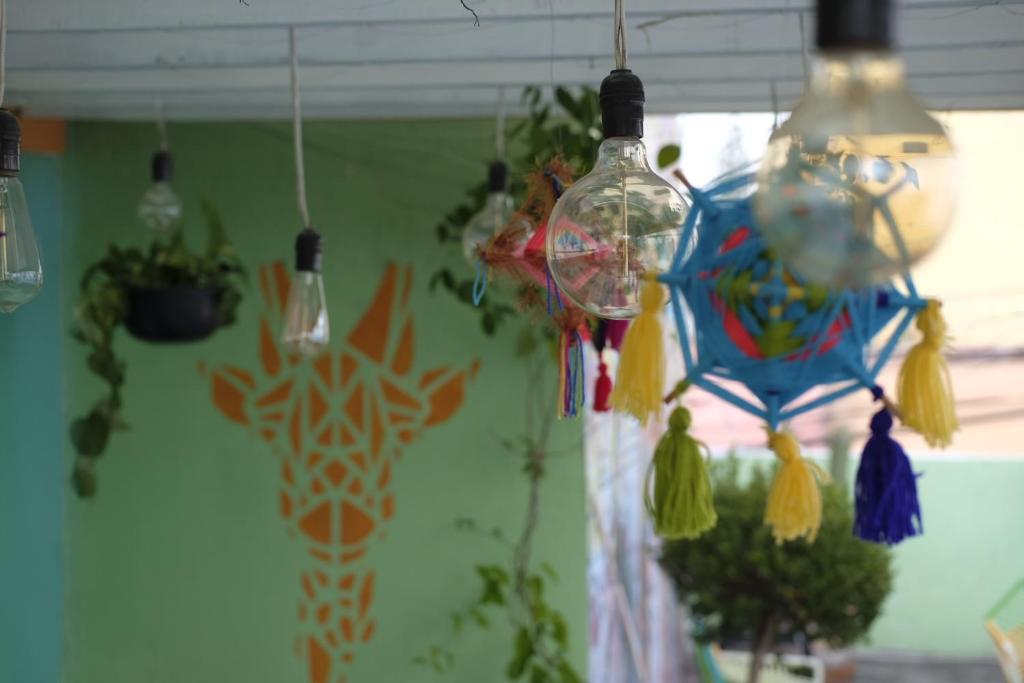 Fotografie z fotogalerie ubytování Monkey Safari Hostel v destinaci Querétaro