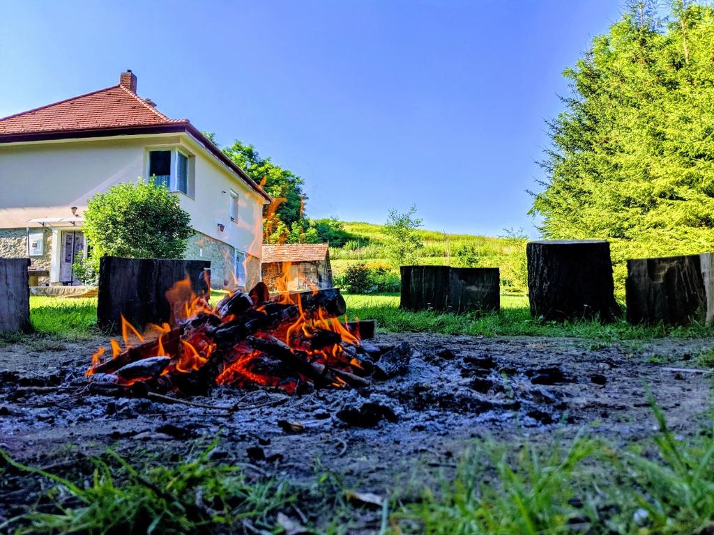 a fire in a field in front of a house at Római Fürdő Apartmanház in Bakonynána