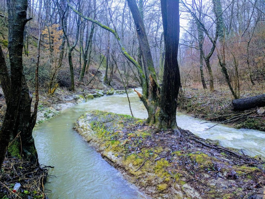 Príroda v okolí apartmánu