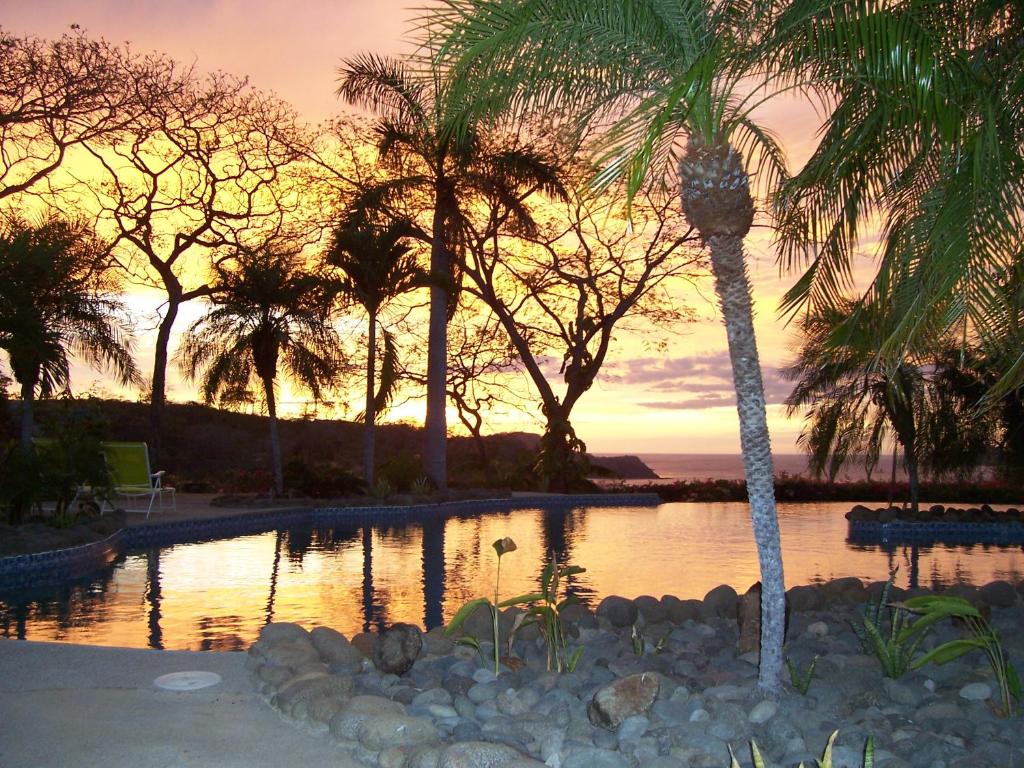 a swimming pool with palm trees and a sunset at Bungle in the Jungle in Playa Panama