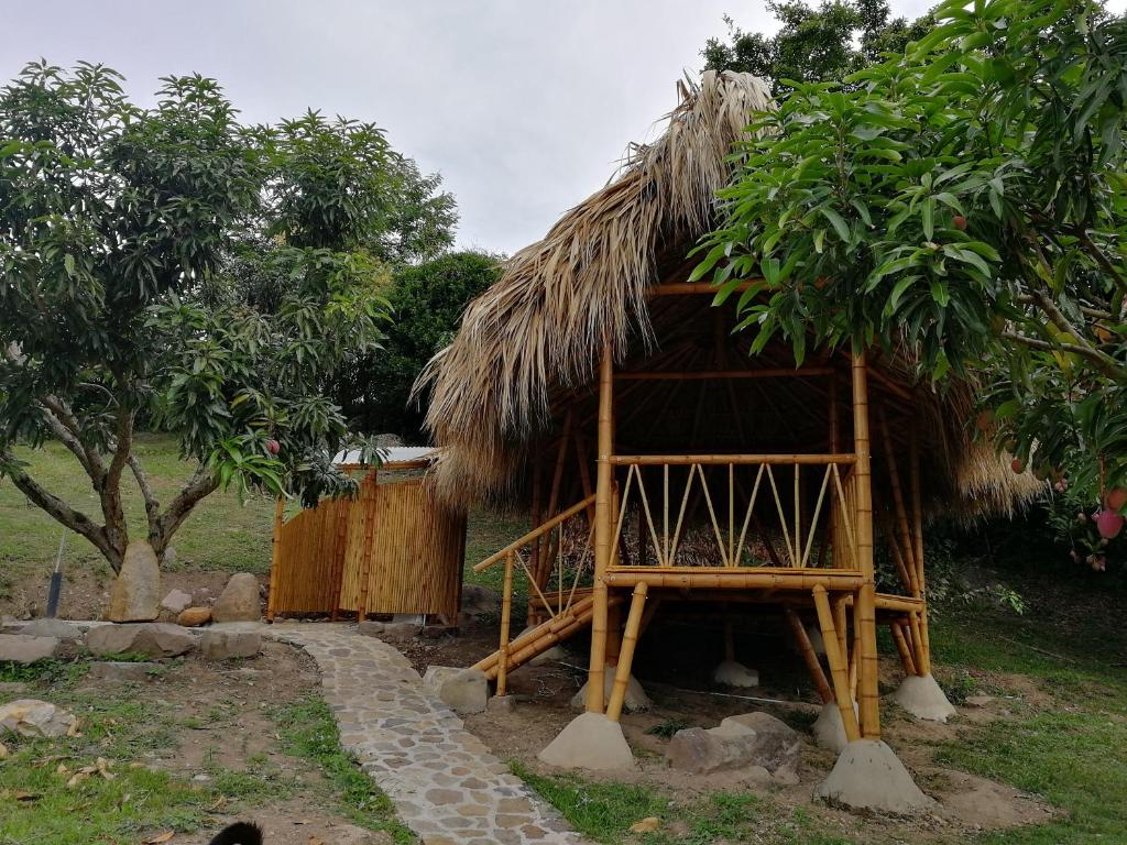 Glamping Palo de Agua