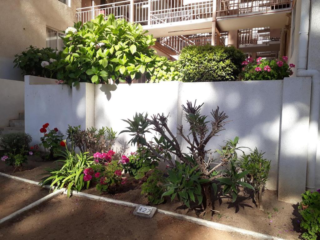 Zahrada ubytování Departamento Bosques del Tabo