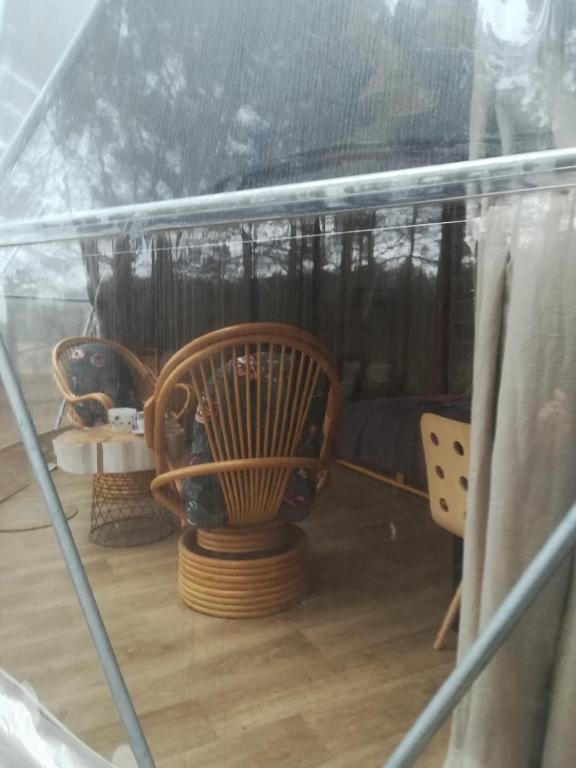 Balkón nebo terasa v ubytování Glamping Drzwi Do Lasu
