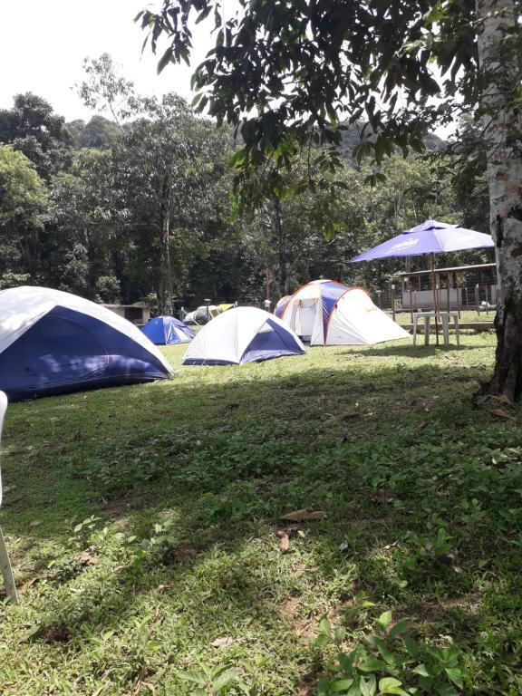  Recanto Do Pontal Camping