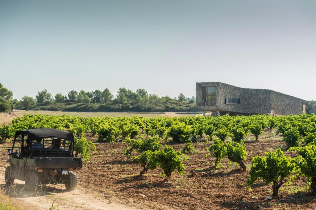 Fotografie z fotogalerie ubytování Village Castigno - Wine Hotel & Resort v destinaci Assignan