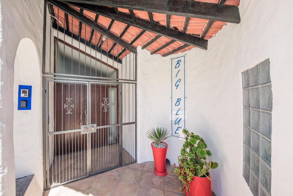 a front door of a house with two plants at Big Blue Accommodation in Bloubergstrand