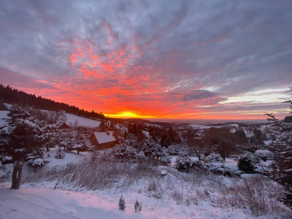 チェンコヴィツェにあるPod lesemの雪と木々の冬の夕日