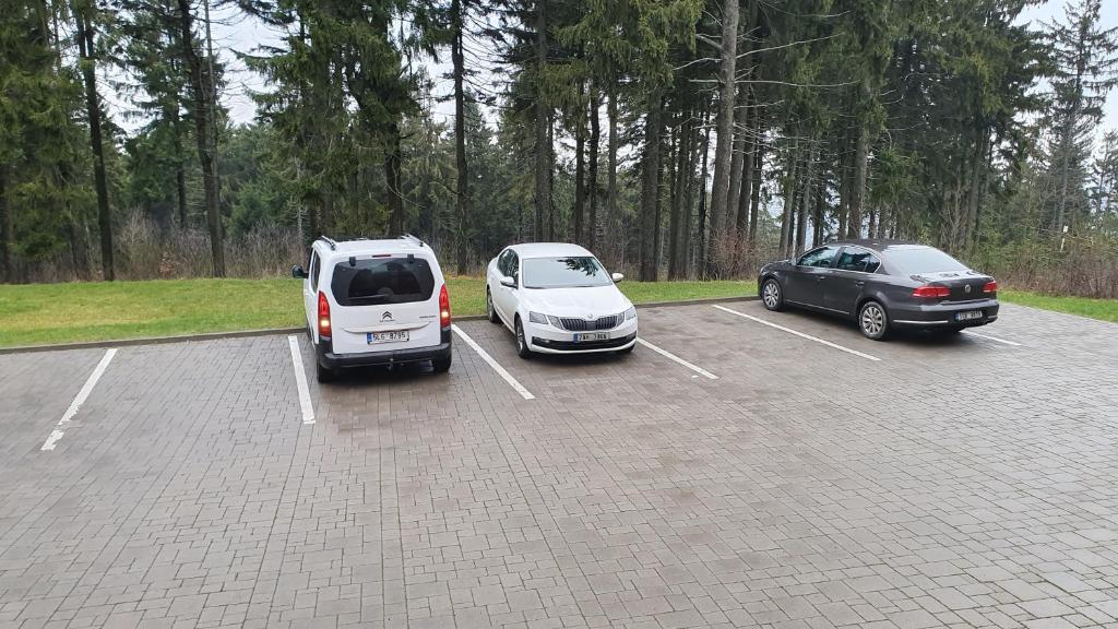 Zdjęcie z galerii obiektu Hotel Obří Sud Javorník w mieście Jeřmanice