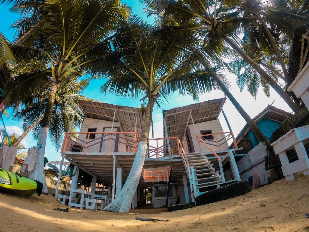 a house on the beach with palm trees at Ceylon Beach Home in Galle