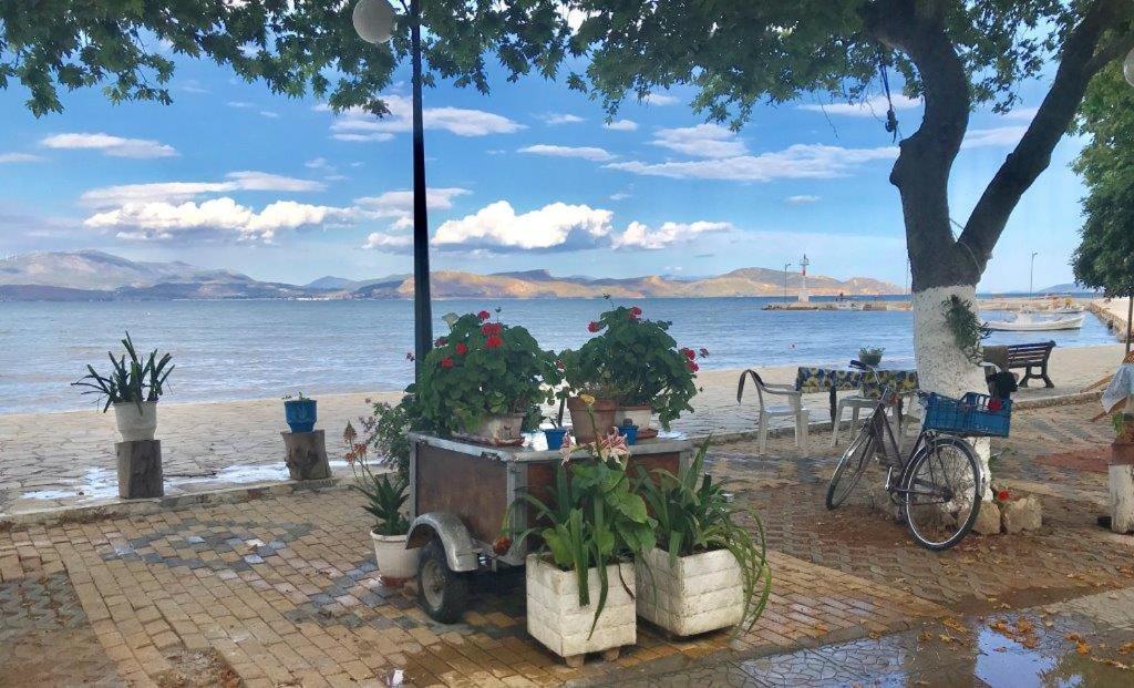 Príroda v okolí apartmánu