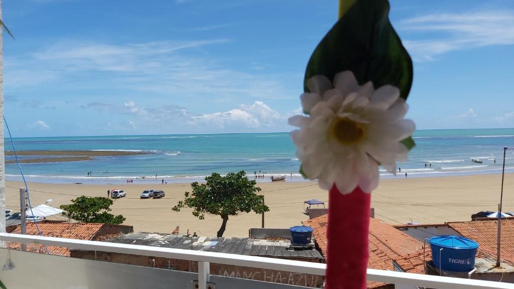 a flower in front of a view of a beach at Mirante Beach House in Piaçabuçu